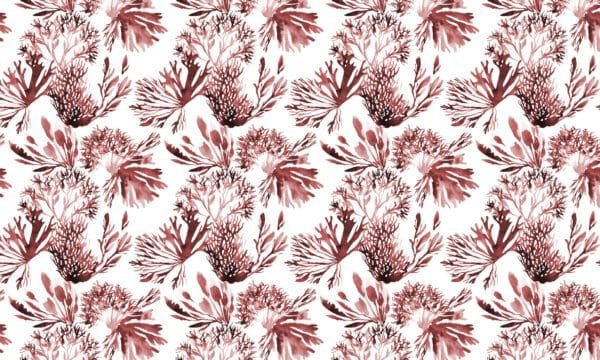 Papel tapiz / empapelado con patrón de coral en tonos terracota - Alchemyst