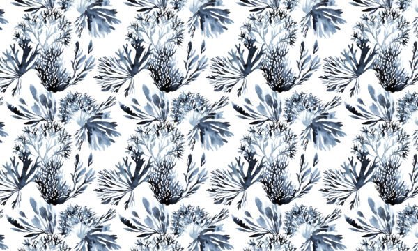 Papel tapiz / empapelado con patrón de coral en escala de grises - Alchemyst