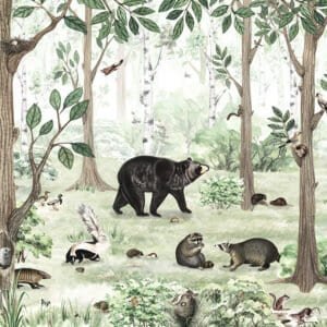 Mural ilustrado de bosque con animales salvajes en tonos verdes - Alchemyst