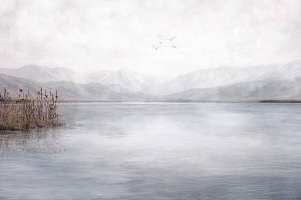 Mural ilustrado de laguna con montañas y pastizales en tonos grises - Alchemyst