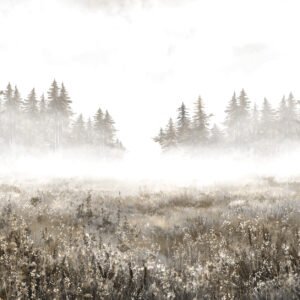 MURAL CAMPOS DE NIEBLA 4