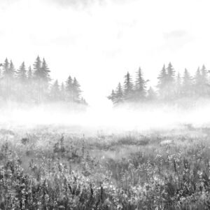 MURAL CAMPOS DE NIEBLA 5