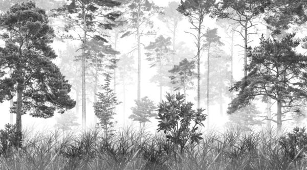 Mural ilustrado de bosque de pinos entre niebla en tonos sepia claro - Alchemyst