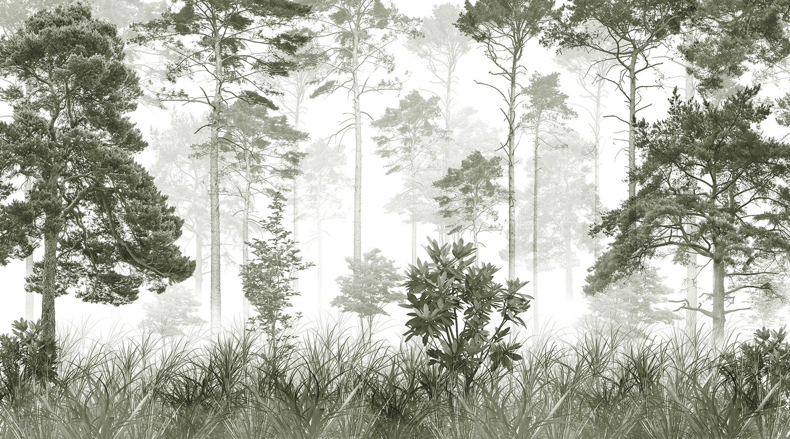 ethereal woods 4 web