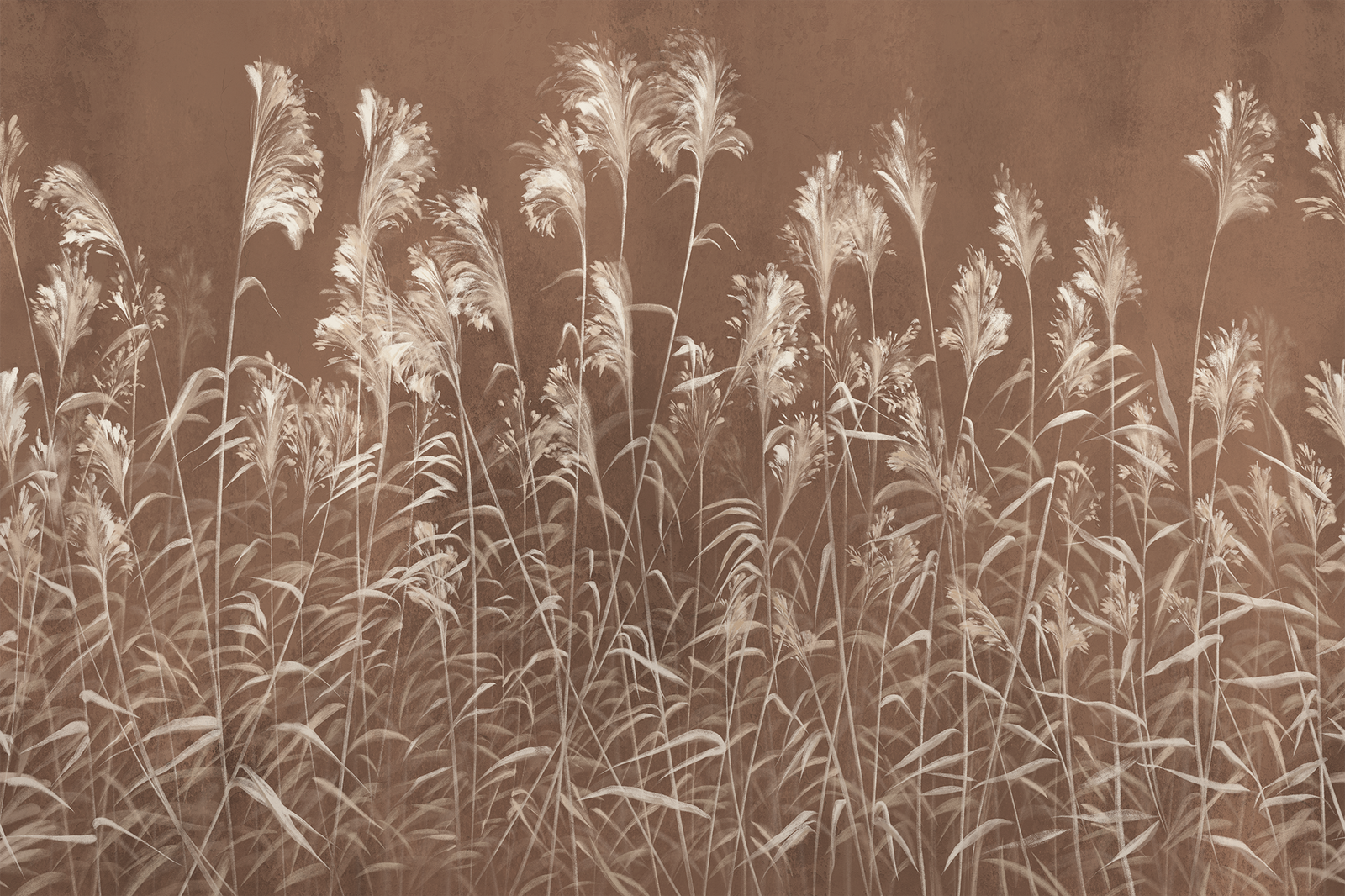 veil of pampa live chesnut web